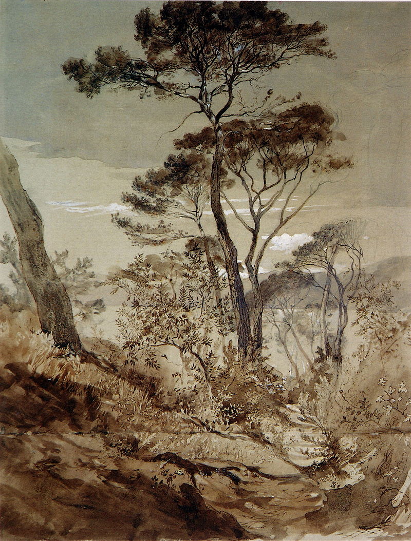 Stone Pines at Sestri, vintage artwork by John Ruskin, A3 (16x12") Poster Print