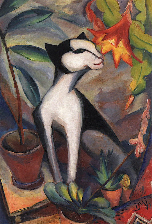 Kat and Cactus Flower, vintage artwork by Dorothea Maetzel-Johannsen, 12x8" (A4) Poster