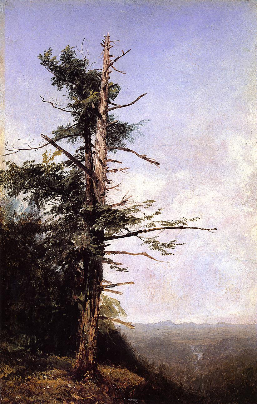 The Hemlock, vintage artwork by John Frederick Kensett, A3 (16x12") Poster Print
