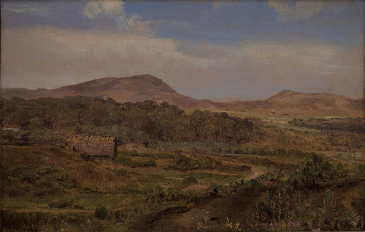 Landscape near Blokhus, Jutland, vintage artwork by Martinus Rørby e, A3 (16x12") Poster Print