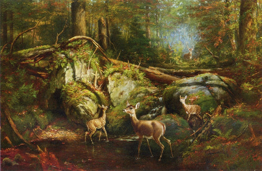 Deer in the Adirondacks, vintage artwork by Arthur Fitzwilliam Tait, A3 (16x12") Poster Print