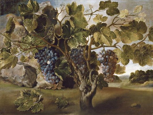 Paisaje con una vid (Landscape with a Vine), vintage artwork by Tomàs Yepes, 12x8" (A4) Poster