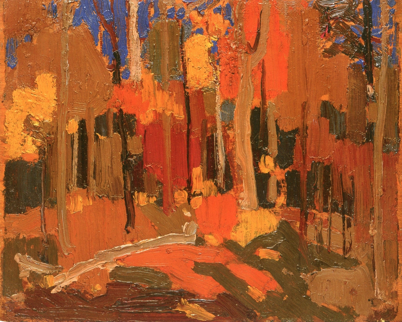 Autumn Color by Tom Thomson,16x12(A3) Poster