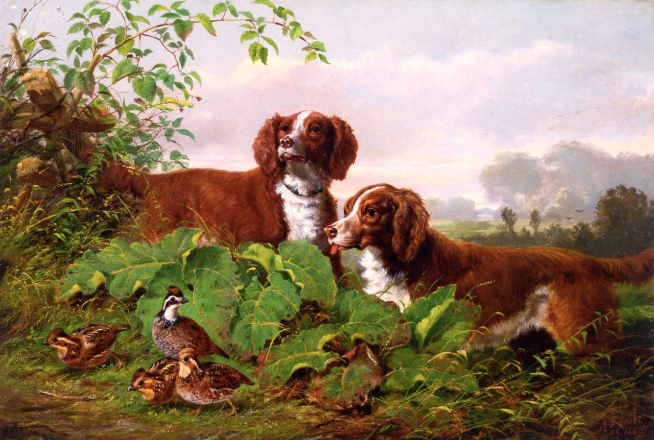 Two Setters and Quail, vintage artwork by Arthur Fitzwilliam Tait, A3 (16x12") Poster Print
