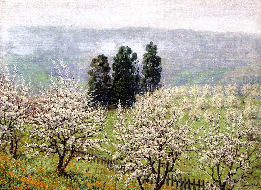 Prune Blossoms of Saratoga by Theodore Wores,A3(16x12")Poster