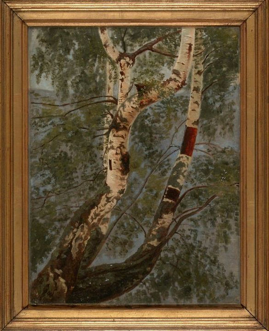 Birch Trunks, vintage artwork by Werner Holmberg, 12x8" (A4) Poster