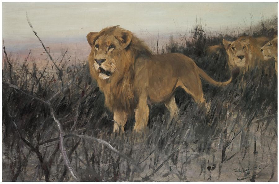 Lions in the Burnt Steppe, vintage artwork by Wilhelm Kuhnert, 12x8" (A4) Poster