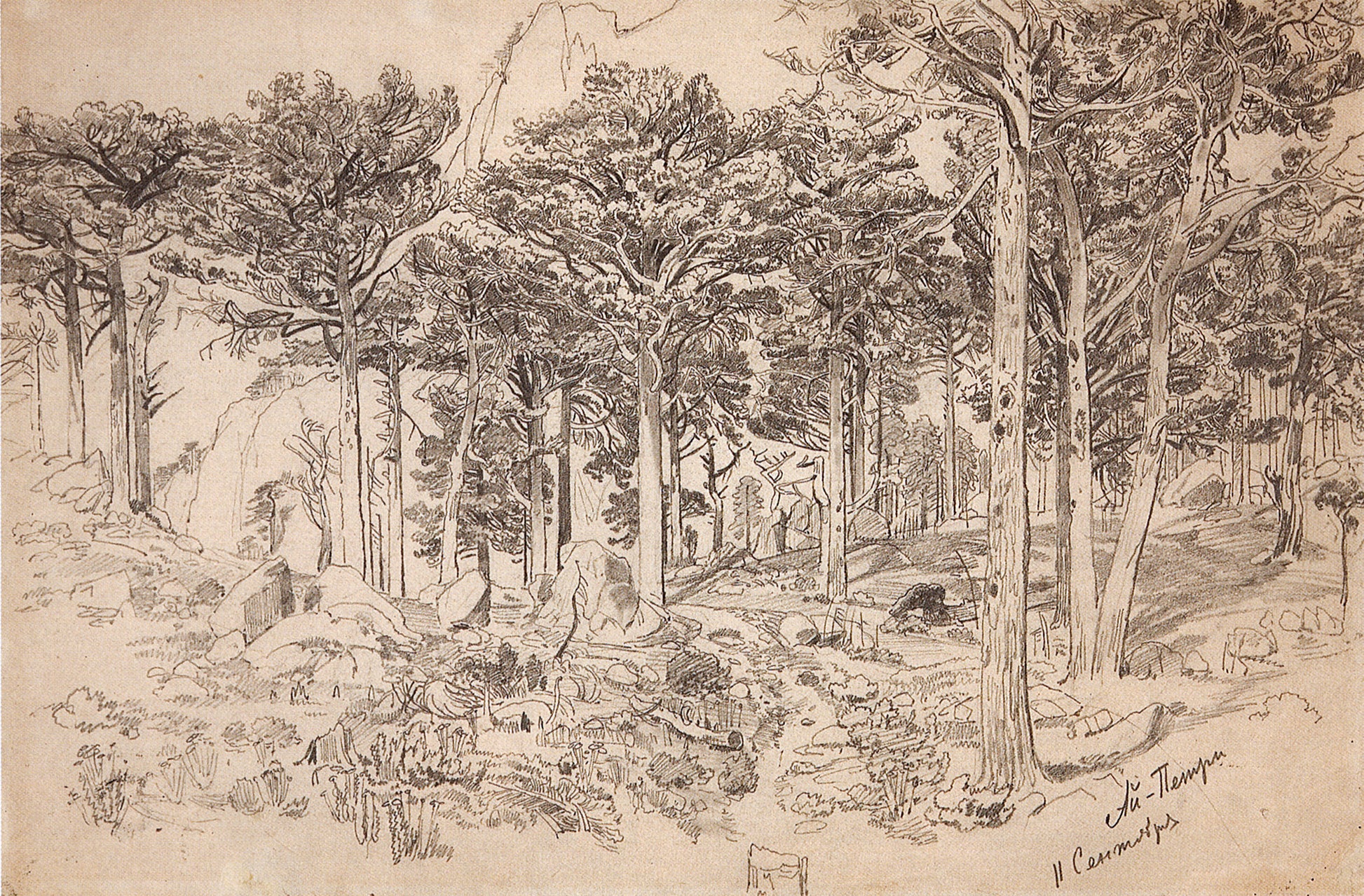 Ai Petri, vintage artwork by Ivan Ivanovich Shishkin, 12x8" (A4) Poster