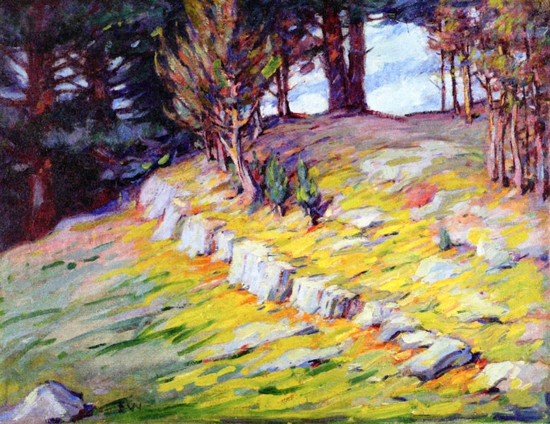Rock-Ribbed New England by Ellsworth Woodward,A3(16x12")Poster