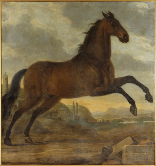 King Karl XI's Horse 'Sultan', vintage artwork by David Klocker Ehrenstrahl, 12x8" (A4) Poster