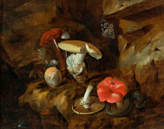 A Forest Floor Still Life with Mushrooms, a Snake and a Butterfly, vintage artwork by Otto van Schrieck, 12x8" (A4) Poster