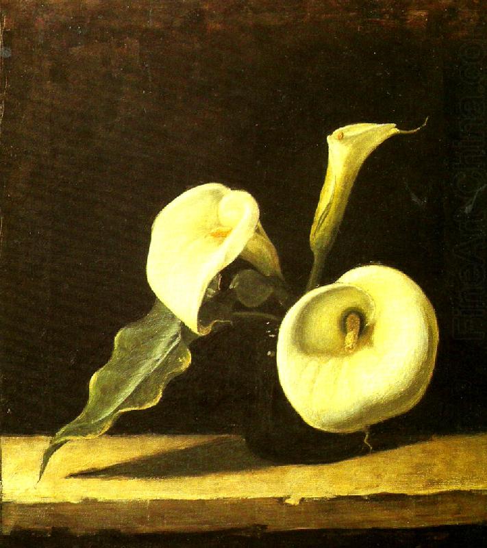 Calla Lilies by Eugene Jansson,A3(16x12")Poster
