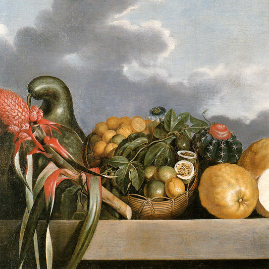 Calabash, citrus and a cactus, vintage artwork by Albert Eckhout, 12x8" (A4) Poster