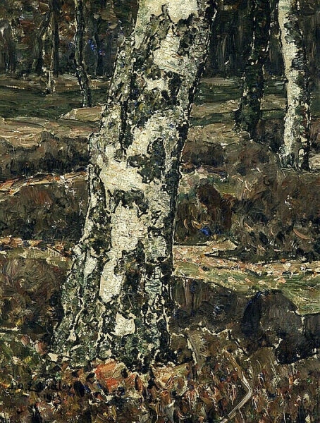 Birch Trunk by Jan Zandleven,A3(16x12")Poster