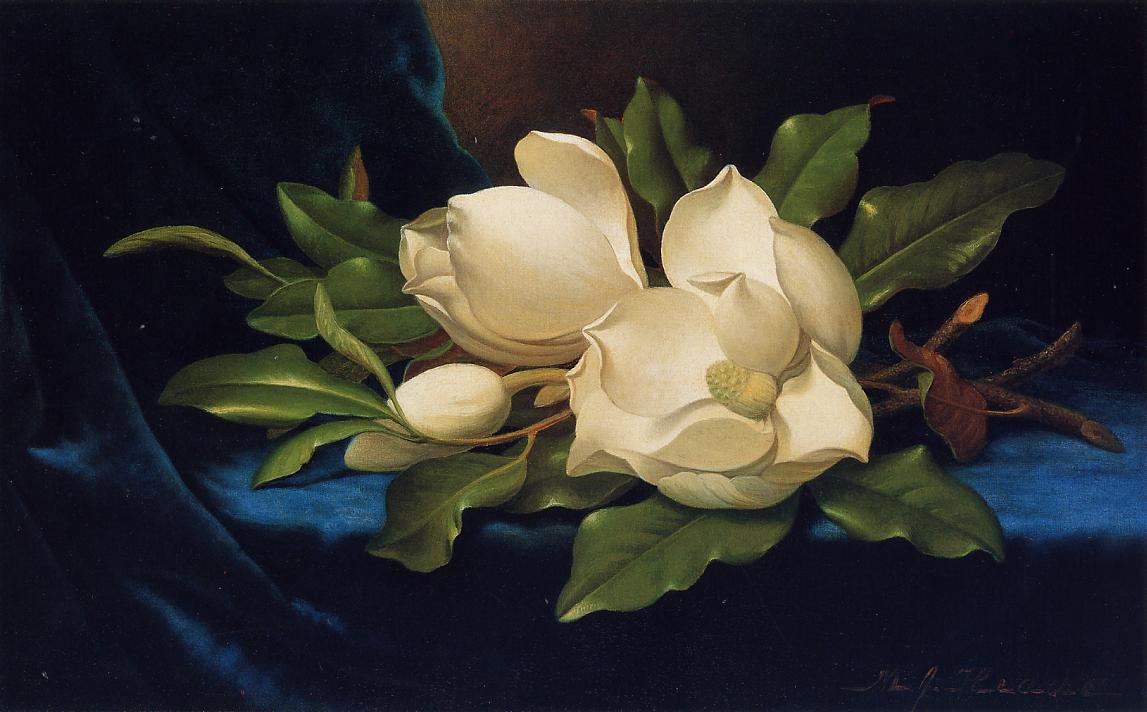Giant Magnolias on a Blue Velvet Cloth, vintage artwork by Martin Johnson Heade, A3 (16x12") Poster Print