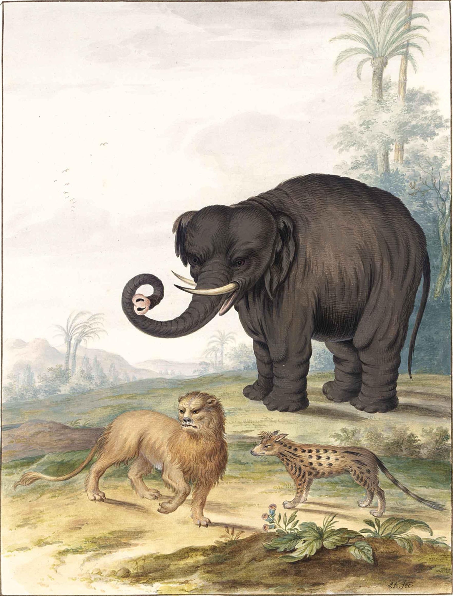 An Asian Elephant, a Lion and a Civet Cat in a Landscape, vintage artwork by Johannes van Bronckhorst, 12x8" (A4) Poster
