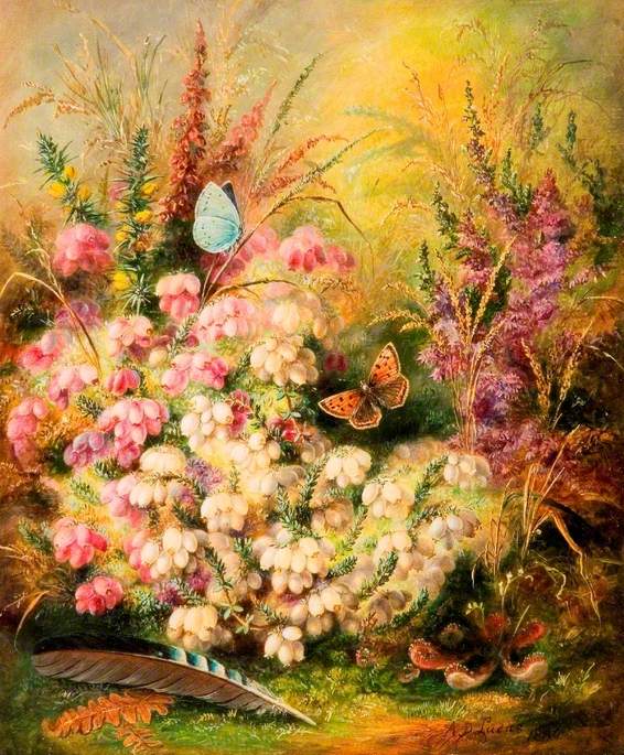Heath, Heather, Furze and Sundew, vintage artwork by Albert Durer Lucas, 12x8" (A4) Poster