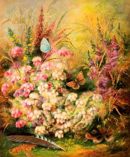 Heath, Heather, Furze and Sundew, vintage artwork by Albert Durer Lucas, 12x8" (A4) Poster