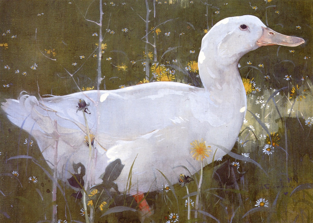 The White Drake by Joseph Crawhall,16x12(A3) Poster