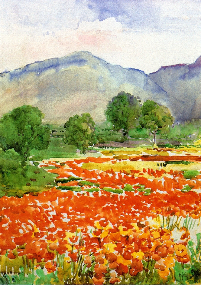 Field of Poppies, near Spoleto Italy by Annie G. Sykes,A3(16x12")Poster