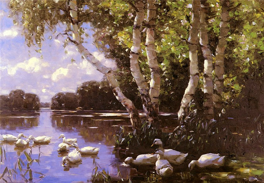 even ducks under the birch in the water by Alexander Koester,A3(16x12")Poster