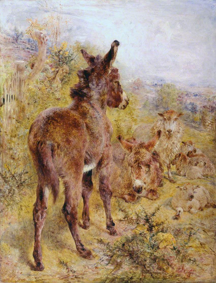 Donkeys and Sheep in a Landscape, vintage artwork by William Huggins, A3 (16x12") Poster Print