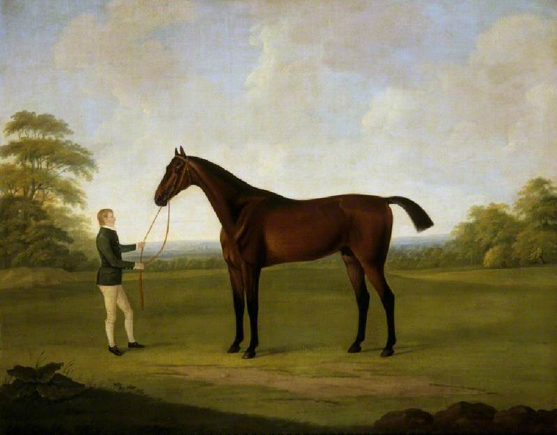 Saltram with a Stable Lad, vintage artwork by John Nost Sartorius, 12x8" (A4) Poster