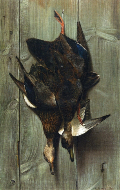 Hanging Ducks, vintage artwork by Alexander Pope, 12x8" (A4) Poster