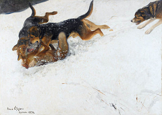 Hunting dogs and fox in winter landscape, vintage artwork by Bruno Liljefors, 12x8" (A4) Poster