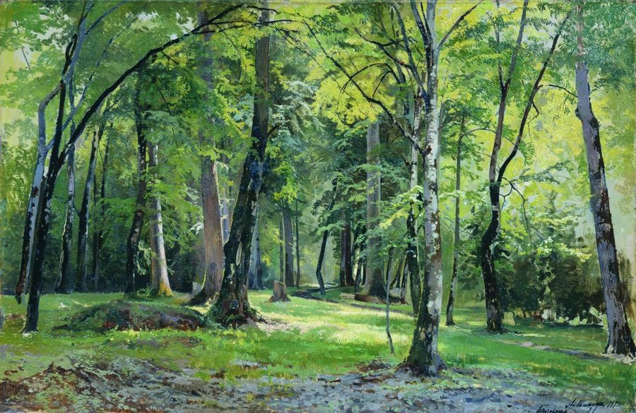 Bialowieza Forest by Andrei Shilder,A3(16x12")Poster