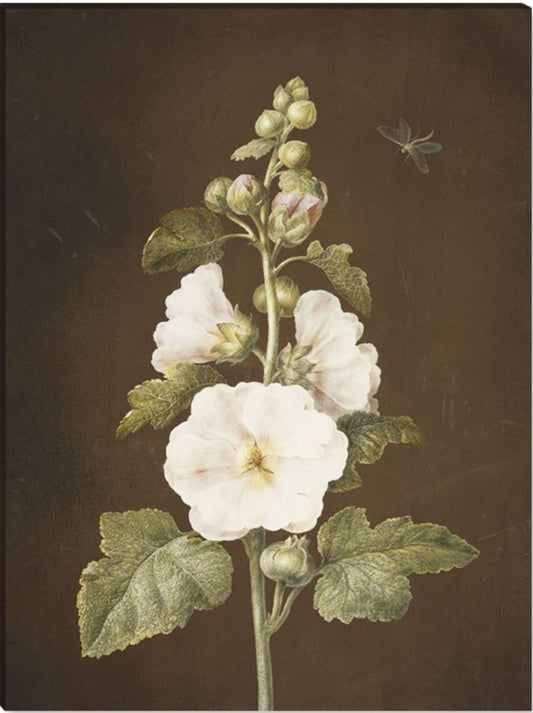 Stockrose, vintage artwork by Barbara Regina  Dietzsch, 12x8" (A4) Poster