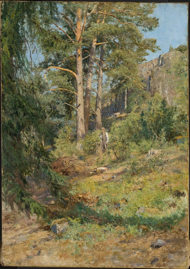 Pine Forest Skutudden by Carl Tragardh,A3(16x12")Poster