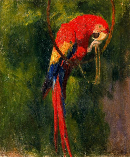 Loro, vintage artwork by Jose Mongrell Torrent, 12x8" (A4) Poster