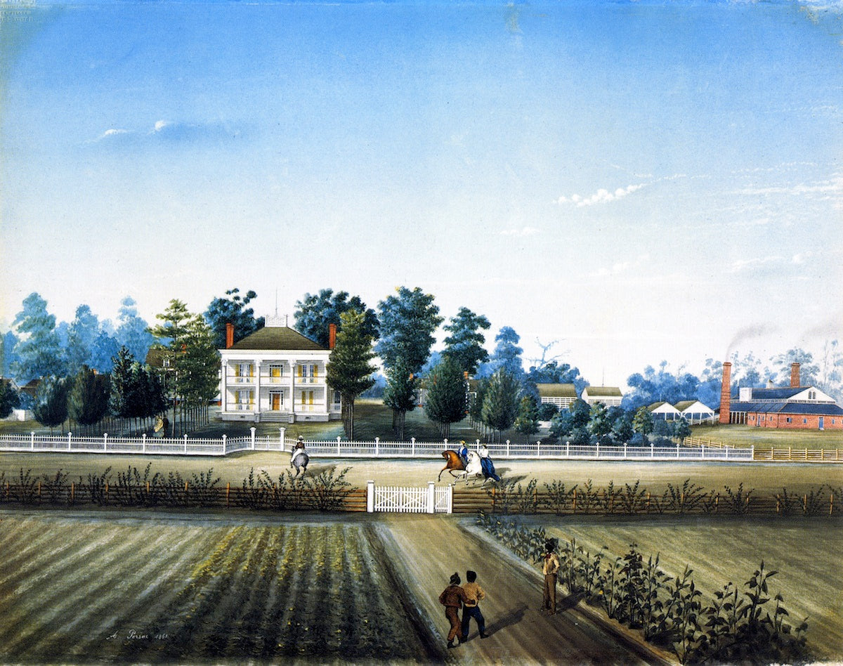 St. John, vintage artwork by Marie Adrien Persac, 12x8" (A4) Poster