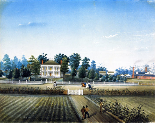 St. John, vintage artwork by Marie Adrien Persac, 12x8" (A4) Poster