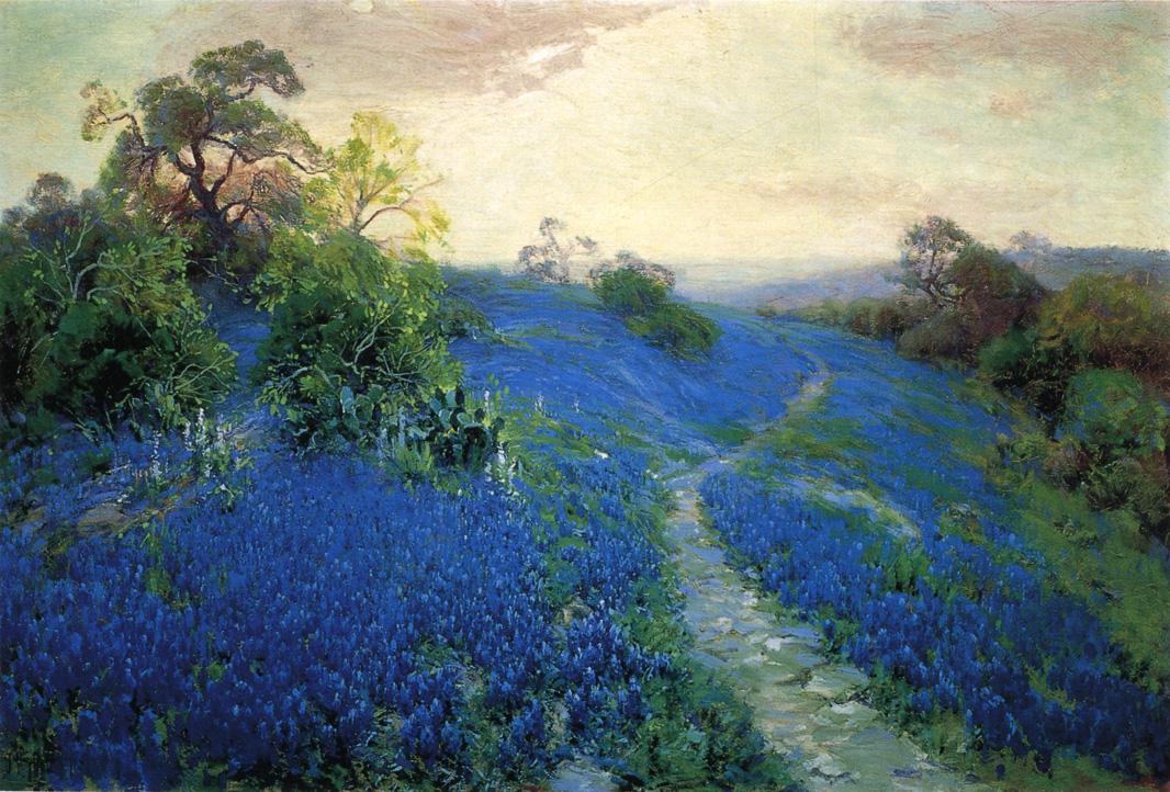 Bluebonnet Field by Julian Onderdonk,16x12(A3) Poster