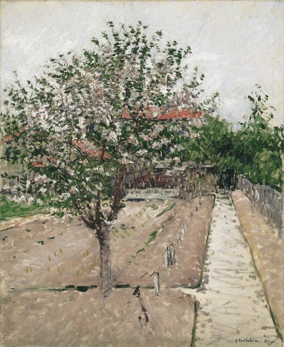 Apple Tree in Bloom, vintage artwork by Gustave Caillebotte, 12x8" (A4) Poster