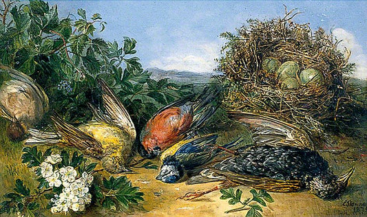Dying Birds, Illustration for a Poem, vintage artwork by Eloise Harriet Stannard, 12x8" (A4) Poster