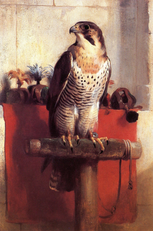Falcon, vintage artwork by Sir Edwin Landseer, A3 (16x12") Poster Print