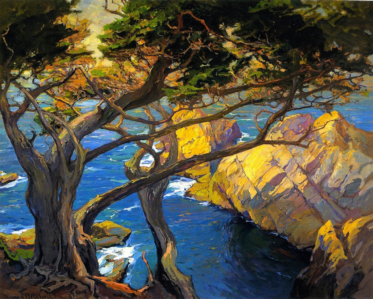 Cleft-Born Trees, Monterey by Franz Bischoff,A3(16x12")Poster
