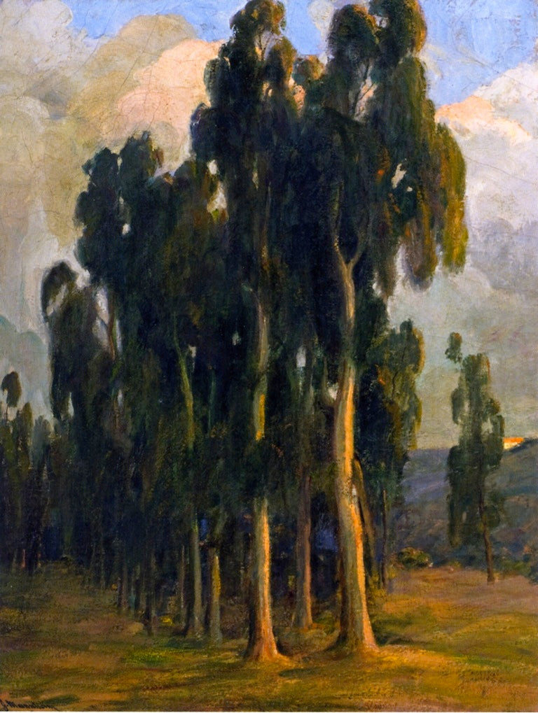 Eucalyptus Grove by Jean Mannheim,A3(16x12")Poster