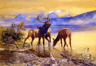 Elk in Lake McDonald by Charles Marion Russell,A3(16x12")Poster