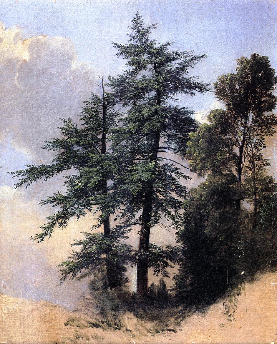 Nature Study, Trees, Newburgh, N.Y., vintage artwork by Asher Brown Durand, A3 (16x12") Poster Print