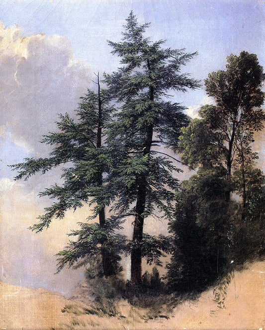 Nature Study, Trees, Newburgh, N.Y., vintage artwork by Asher Brown Durand, A3 (16x12") Poster Print