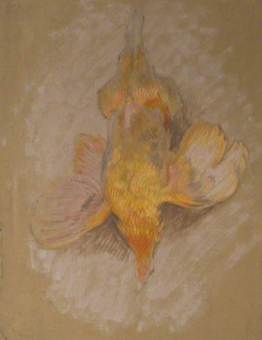 Study of a Fowl for 'Highland Raiders' by William Shackleton,16x12(A3) Poster