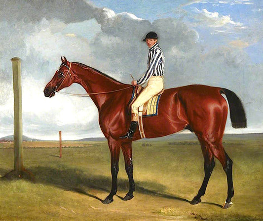 Bay Racehorse and Rider, vintage artwork by John E. Ferneley, Sr, 12x8" (A4) Poster