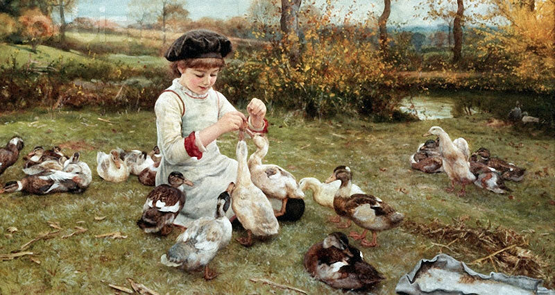 Feeding the Ducks, vintage artwork by Edward Killingworth Johnson, 12x8" (A4) Poster