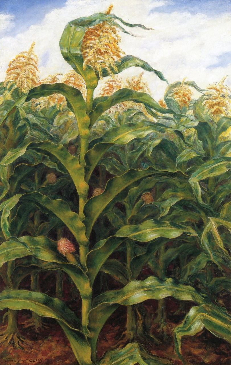 Kansas Cornfield by John Steuart Curry,16x12(A3) Poster