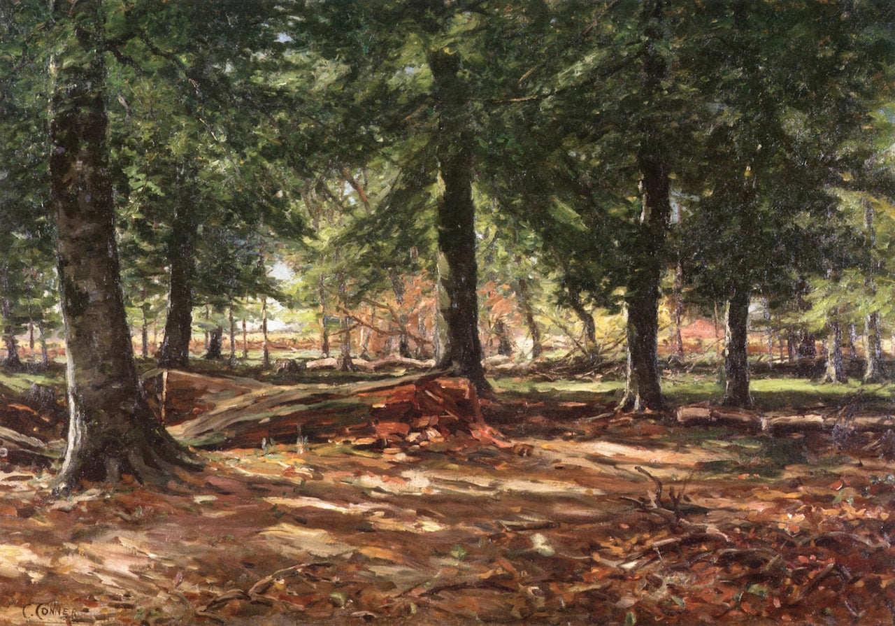 A Woodland Memory by Charles Connor,A3(16x12")Poster