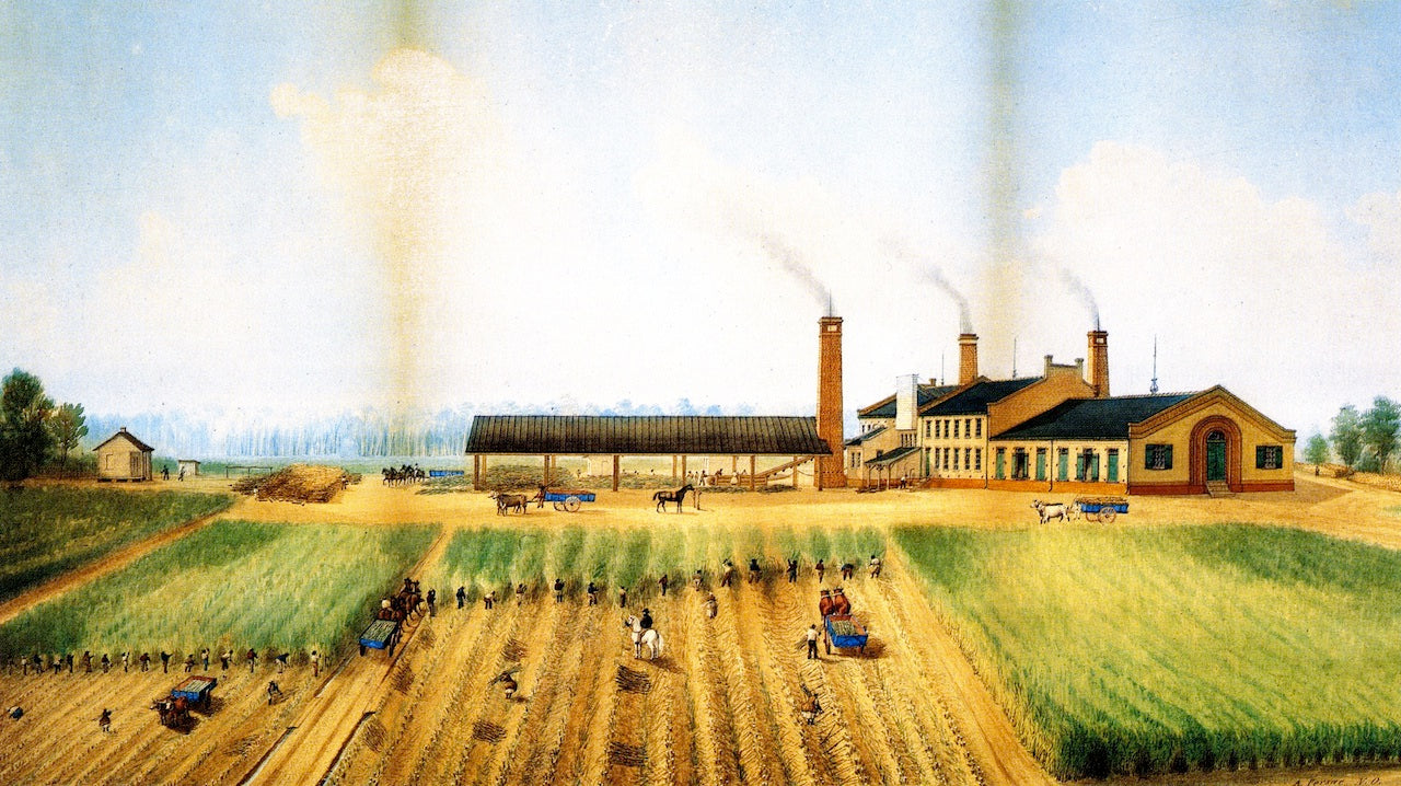 Riverlake Sugarhouse, vintage artwork by Marie Adrien Persac, 12x8" (A4) Poster